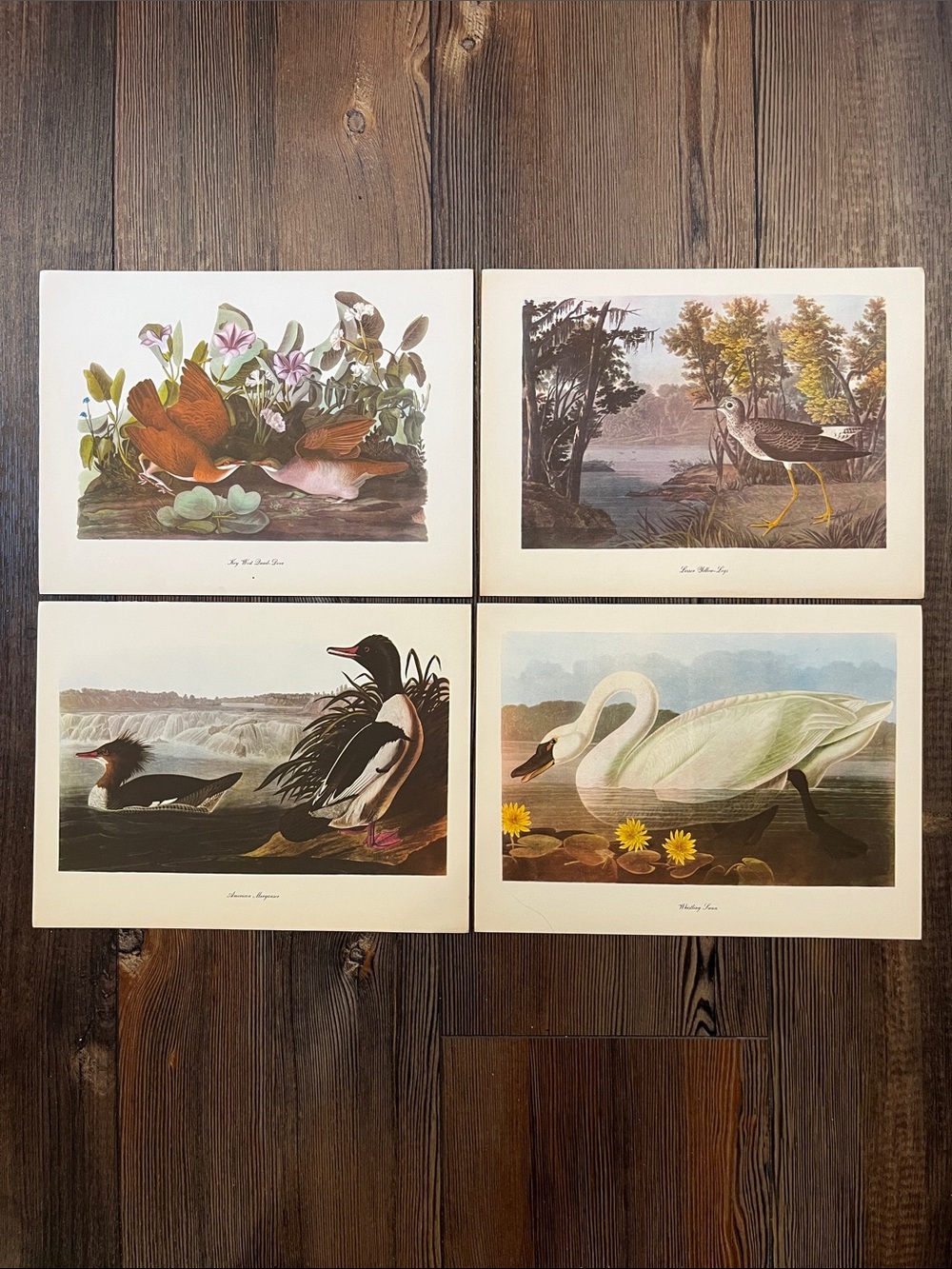 Audubon Birds Of America Prints (L10)